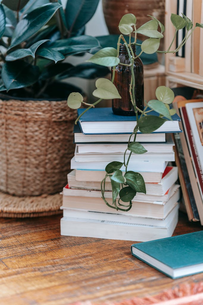 A warm interior scene featuring a stack of books and a potted plant with green leaves on a wooden floor.